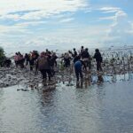 Langkah Nyata Menjaga Kelestarian Wilayah dan Cegah Abrasi di Pesisir Pantai