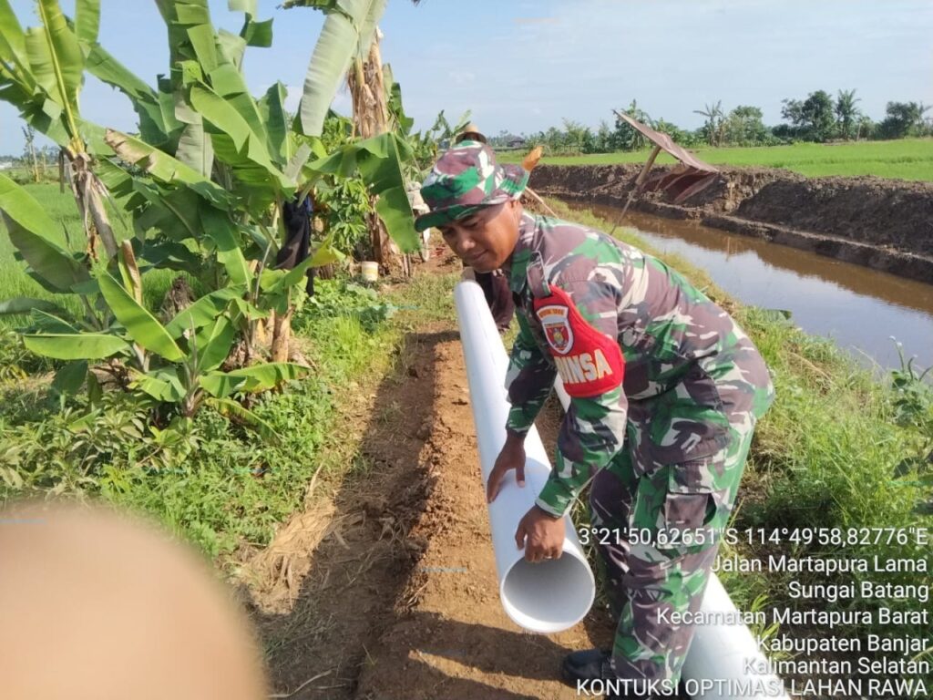 Babinsa Kodim 1006/Banjar Dukung Optimalisasi Lahan Pertanian di Martapura Barat