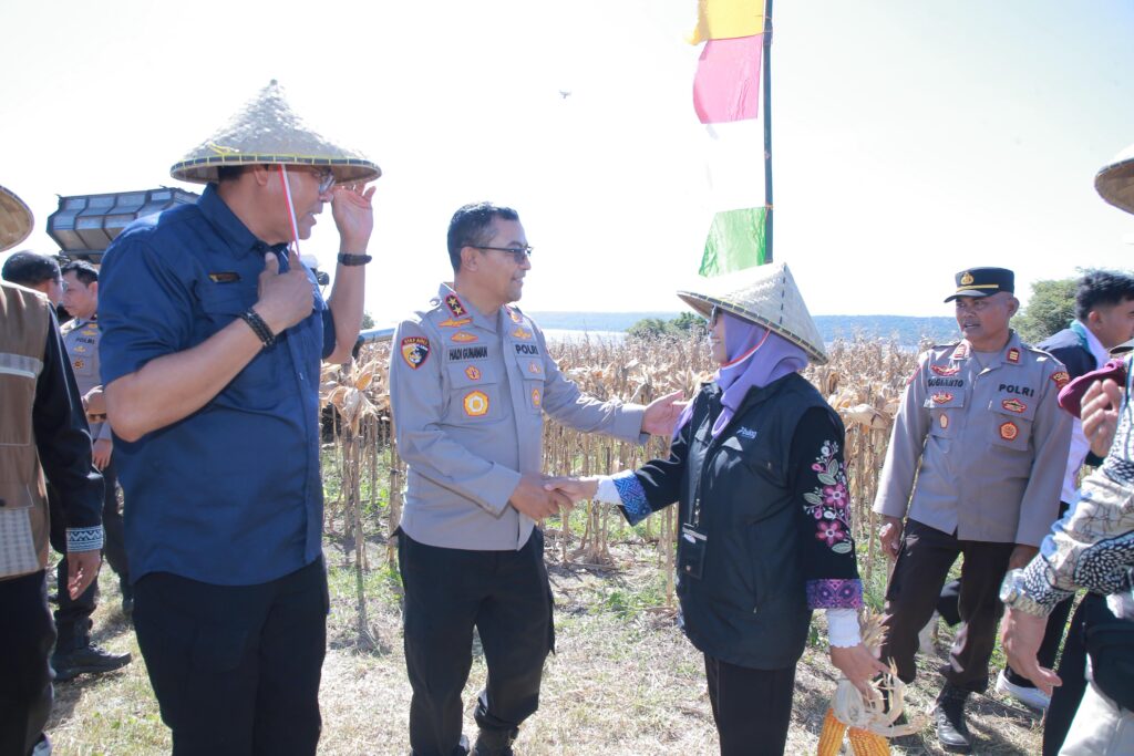 Irjen Pol. Hadi Gunawan Hadiri Panen Raya Jagung di Desa Kukin