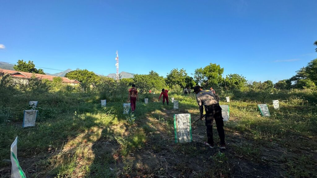 Dukung Ketahanan Pangan, SPN Belanting Polda NTB Tanam Bibit Pepaya di Lahan Produktif
