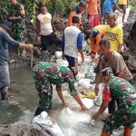 Poktan Tani Makmur Bersama Babinsa Bendo, Bahu Membahu Pasang Talud di Sumber Air Mbah Bendo