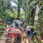 Babinsa Barabai dan Warga Kompak Bangun Jalan Usaha Tani di Kayu Bawang