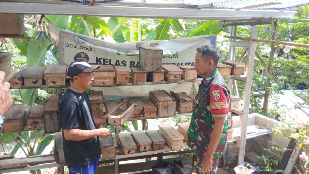 Sinergi Babinsa dan Warga Kembangkan Madu Trigona Berkualitas