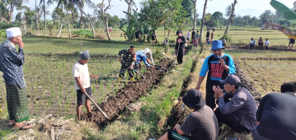 Sinergi Babinsa dan Warga Bangun Akses Tani Baru