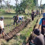 Sinergi Babinsa dan Warga Bangun Akses Tani Baru