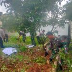 Babinsa dan Staf Kelurahan Bangkal Manfaatkan Lahan Kosong untuk Budidaya Sayur dan Buah
