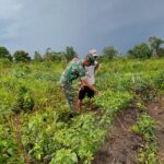 Babinsa Koramil 1015-13/Seruyan HuluMelaksanakan Komsos Bersama Warga Desa Binaan
