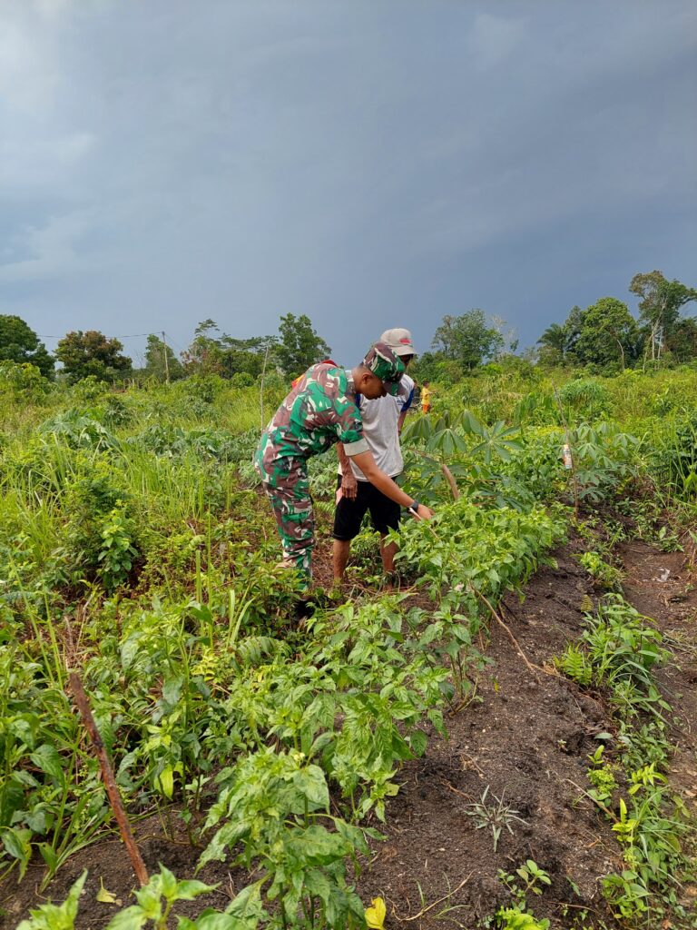Babinsa Koramil 1015-13/Seruyan HuluMelaksanakan Komsos Bersama Warga Desa Binaan