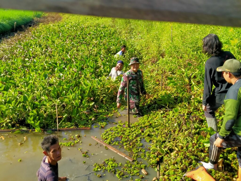 Babinsa Ajak Warga Berpartisipasi di Hari Lingkungan Hidup Nasional: Bersihkan Sungai dan Lingkungan Sekitar