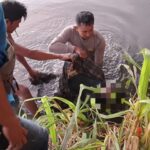 Polres Lombok Tengah Evakuasi Penemuan Mayat di Aliran Sungai Kemulah