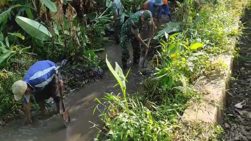 Jalin Sinergitas, Babinsa Kejayan Dukung Padat Karya Tunai Desa