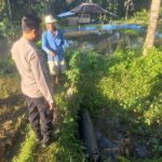 Polres Lombok Tengah Olah TKP Penemuan Mayat Lansia di Peringgarata