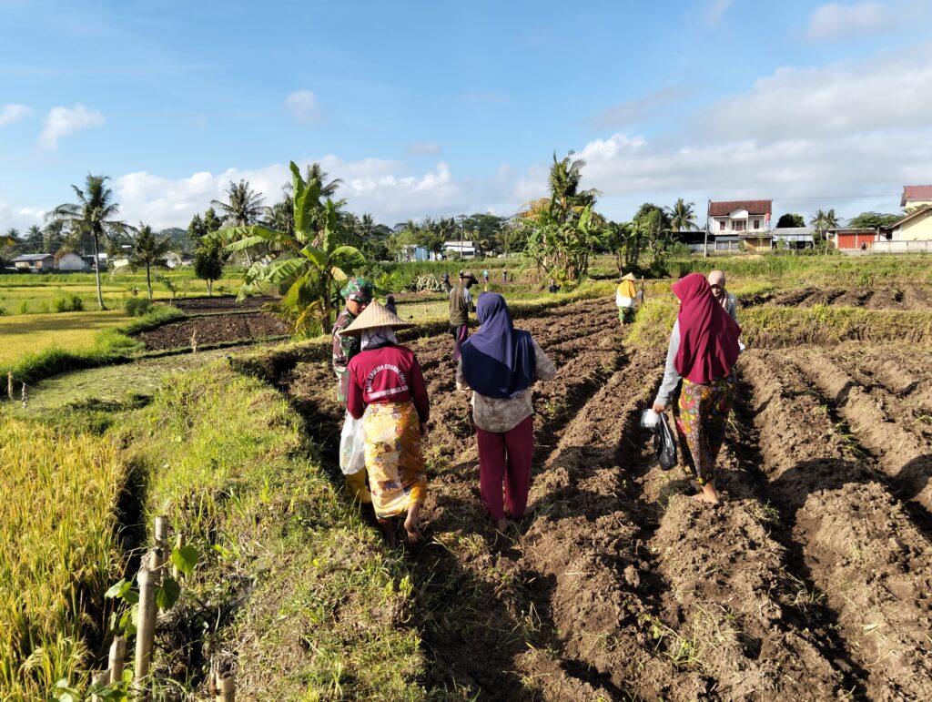 Manfaatkan Lahan Tidur, Babinsa Ajak Poktan Tanam Jagung