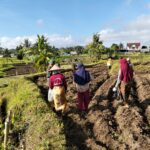 Manfaatkan Lahan Tidur, Babinsa Ajak Poktan Tanam Jagung