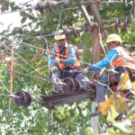PLN Untuk Rakyat, PLN Tingkatkan Keandalan Listrik NTB Lewat Kolaborasi Pemeliharaan Serentak