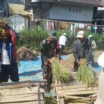 Babinsa dan Petani Jurit Bersinergi Wujudkan Swasembada Pangan